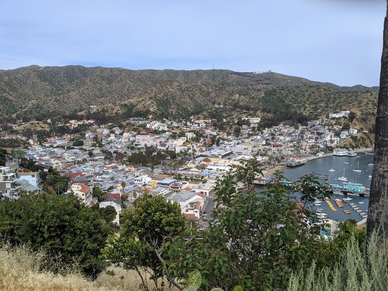 Illustration for article titled Driving on Catalina Island